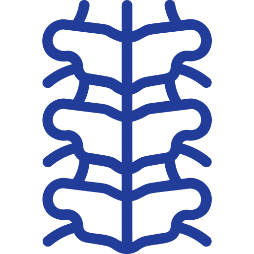 Spine Surgery